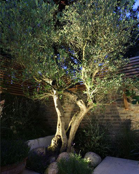 Landscape architect garden feature lighting plan