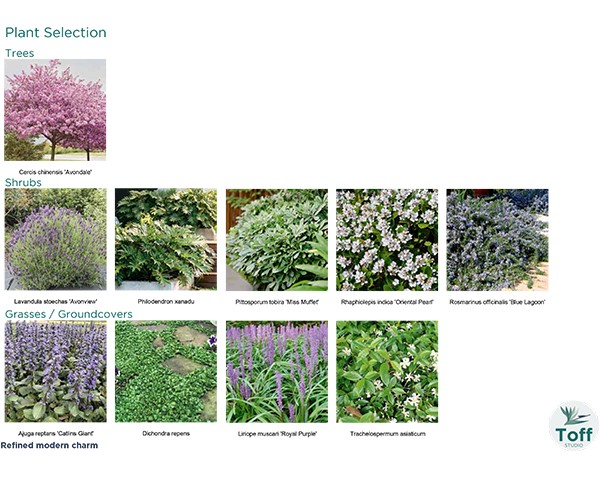 landscape-design-plant-selection
